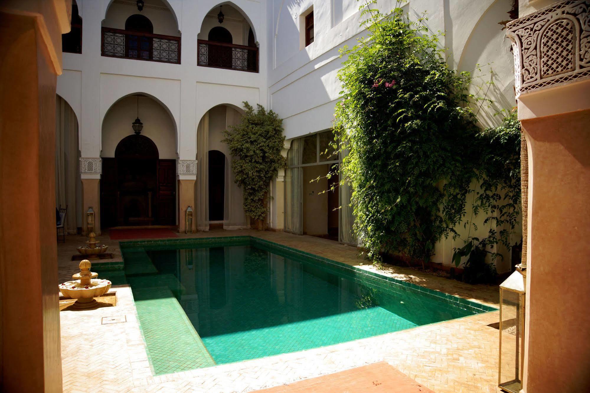 Shama & Marrakesh